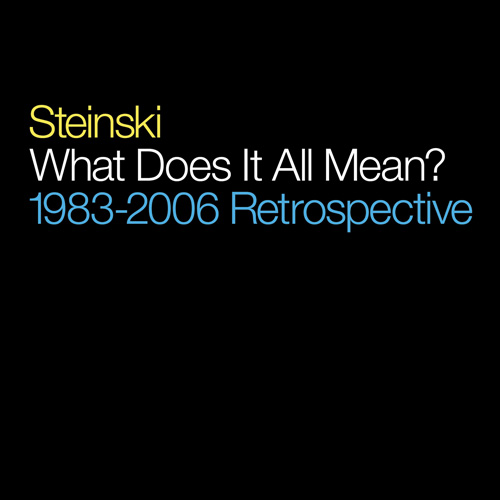 steinski what does it all mean retrospective