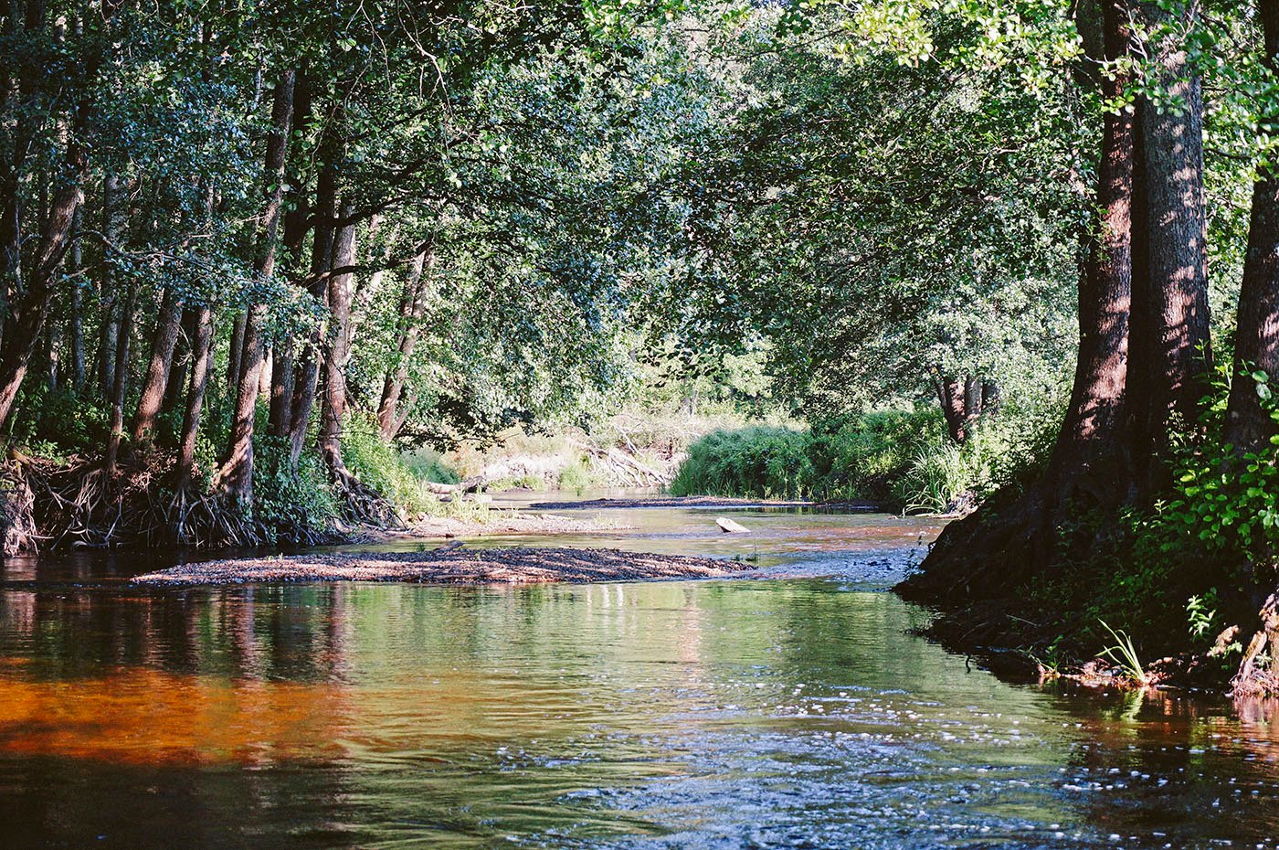 DSC01837