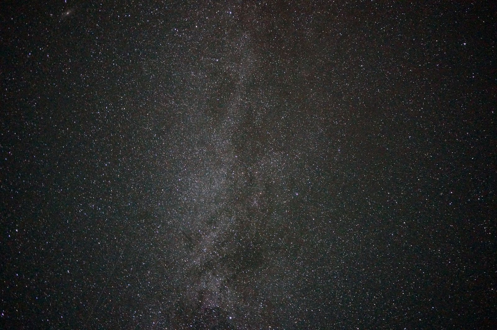 DSC06604