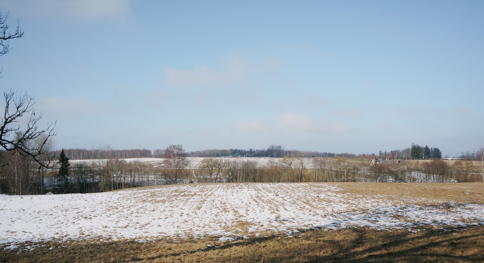 DSC07406